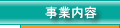 ���Ɠ��e